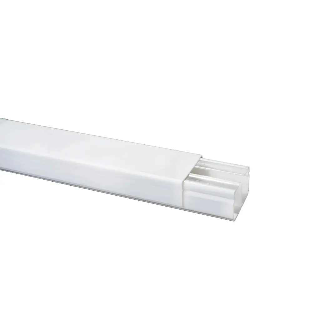 Canaleta Lisa 40x25x2M Dexson
