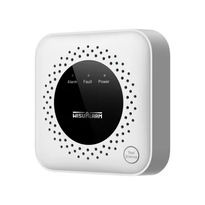 Alarma De Gas GNL WisuAlarm