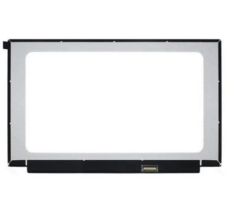 Pantalla 15.6 Nano 30 Pines Alta Resolucion