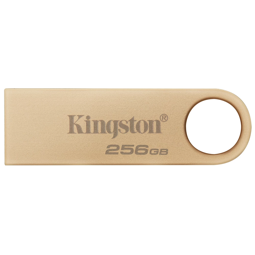 Memoria Usb 256Gb Kingston Datatraveler Se9 G3