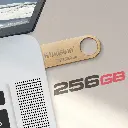 Memoria Usb 256Gb Kingston Datatraveler Se9 G3