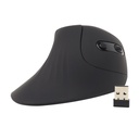 MOUSE VERTICAL INALAMBRICO RECARGABLE JALTECH LH060