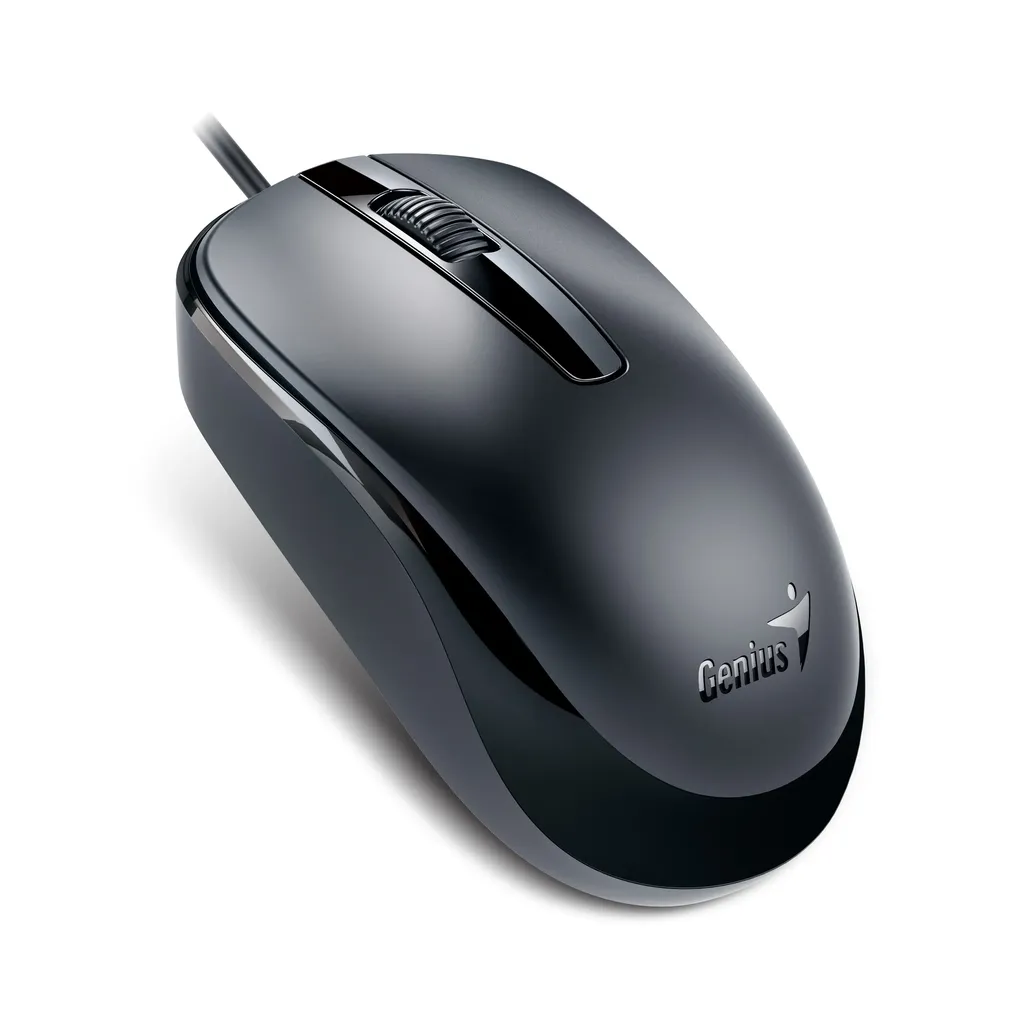 MOUSE GENIUS USB DX-120 NEGRO