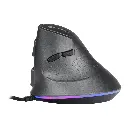 Mouse Vertical Rgb Gmt-11u